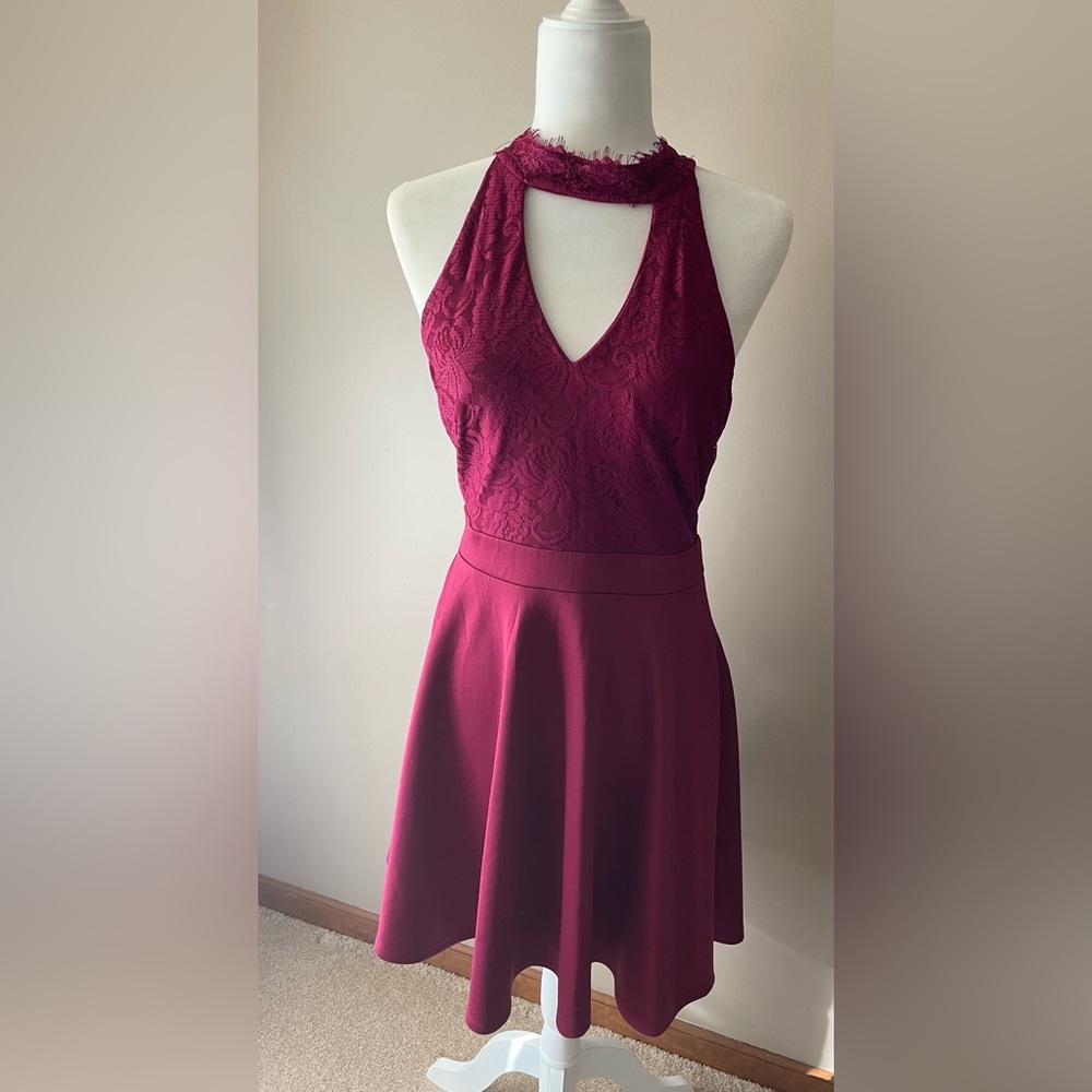 Francesca's Collections Deep Maroon Red Lace Mini Dress